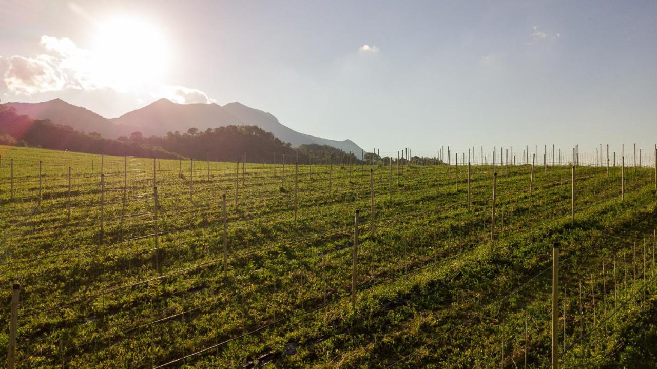 Agriturismo Podere Coldifico Sassoferrato Eksteriør billede